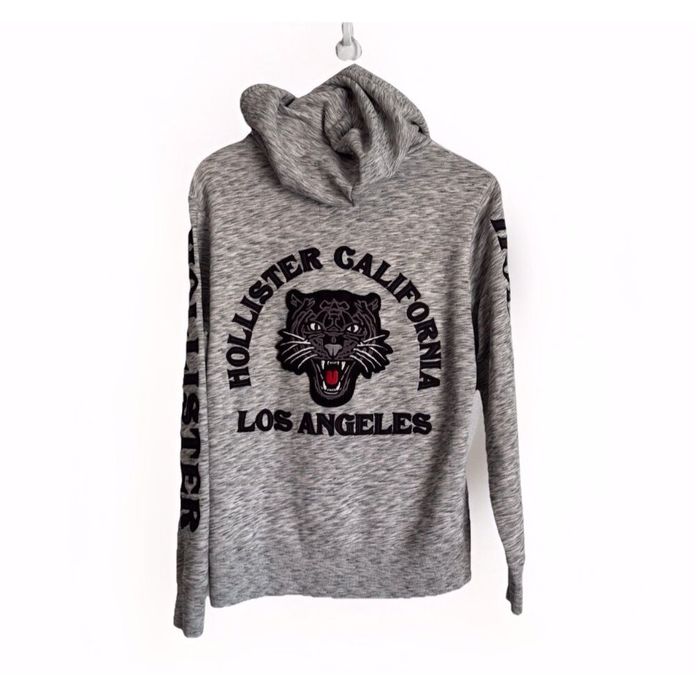 Hollister Men’s Y2K Spellout Pullover Hoodie Embroidered Tiger Unisex Small Gray